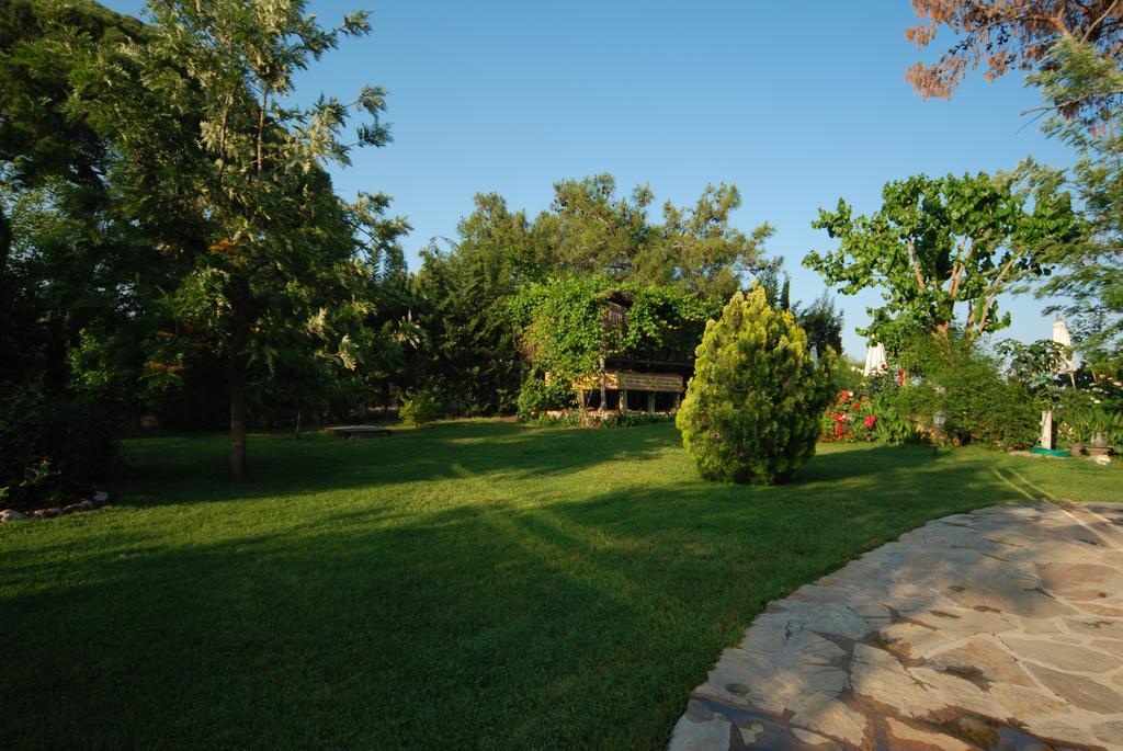 Arcadia Hotel Çıralı Εξωτερικό φωτογραφία