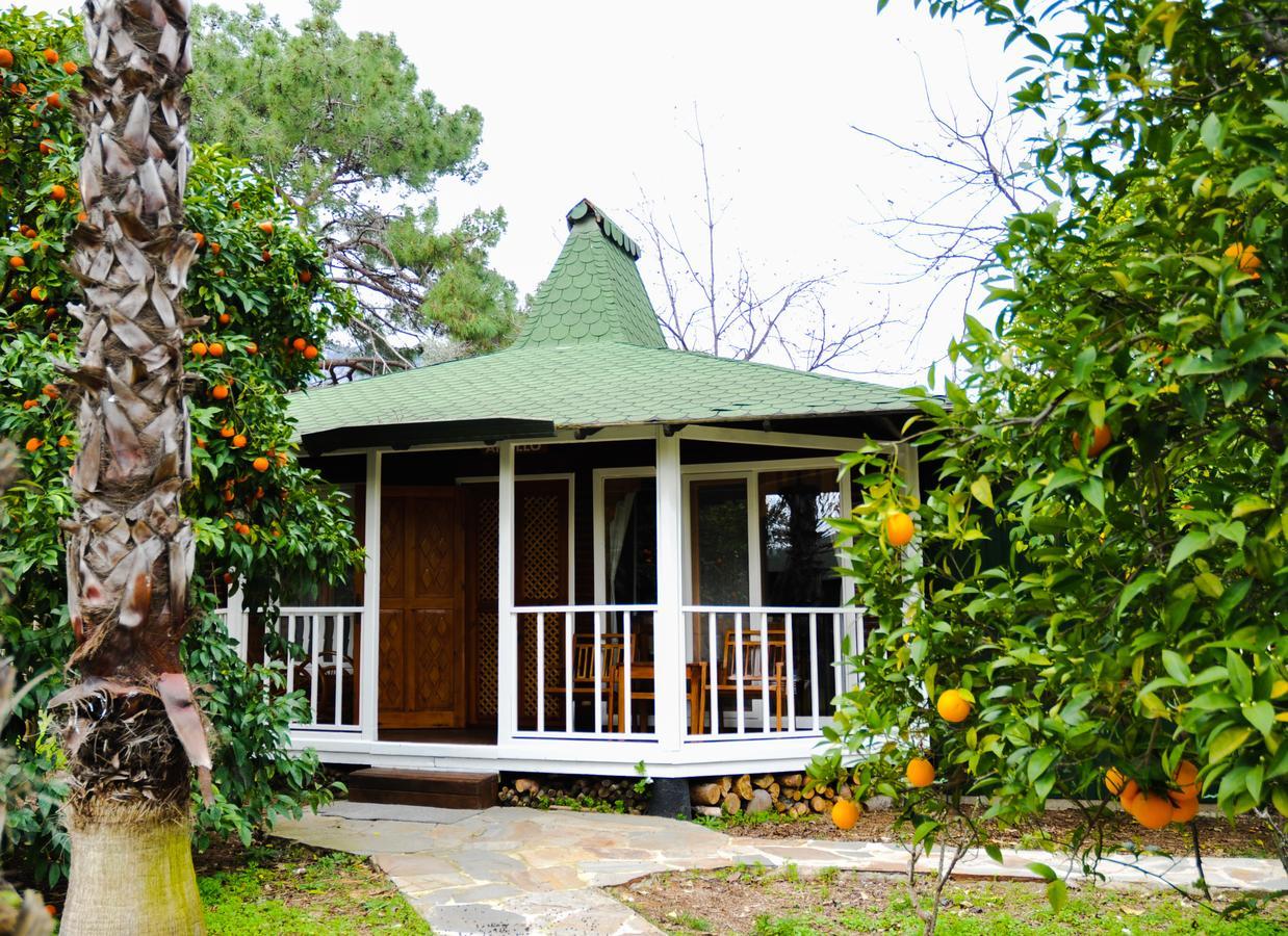 Arcadia Hotel Çıralı Εξωτερικό φωτογραφία