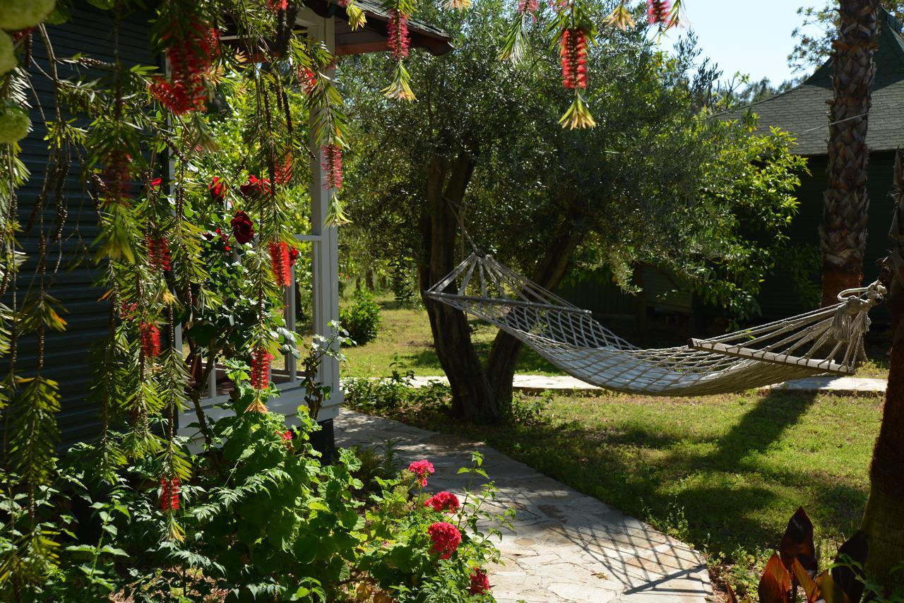 Arcadia Hotel Çıralı Εξωτερικό φωτογραφία