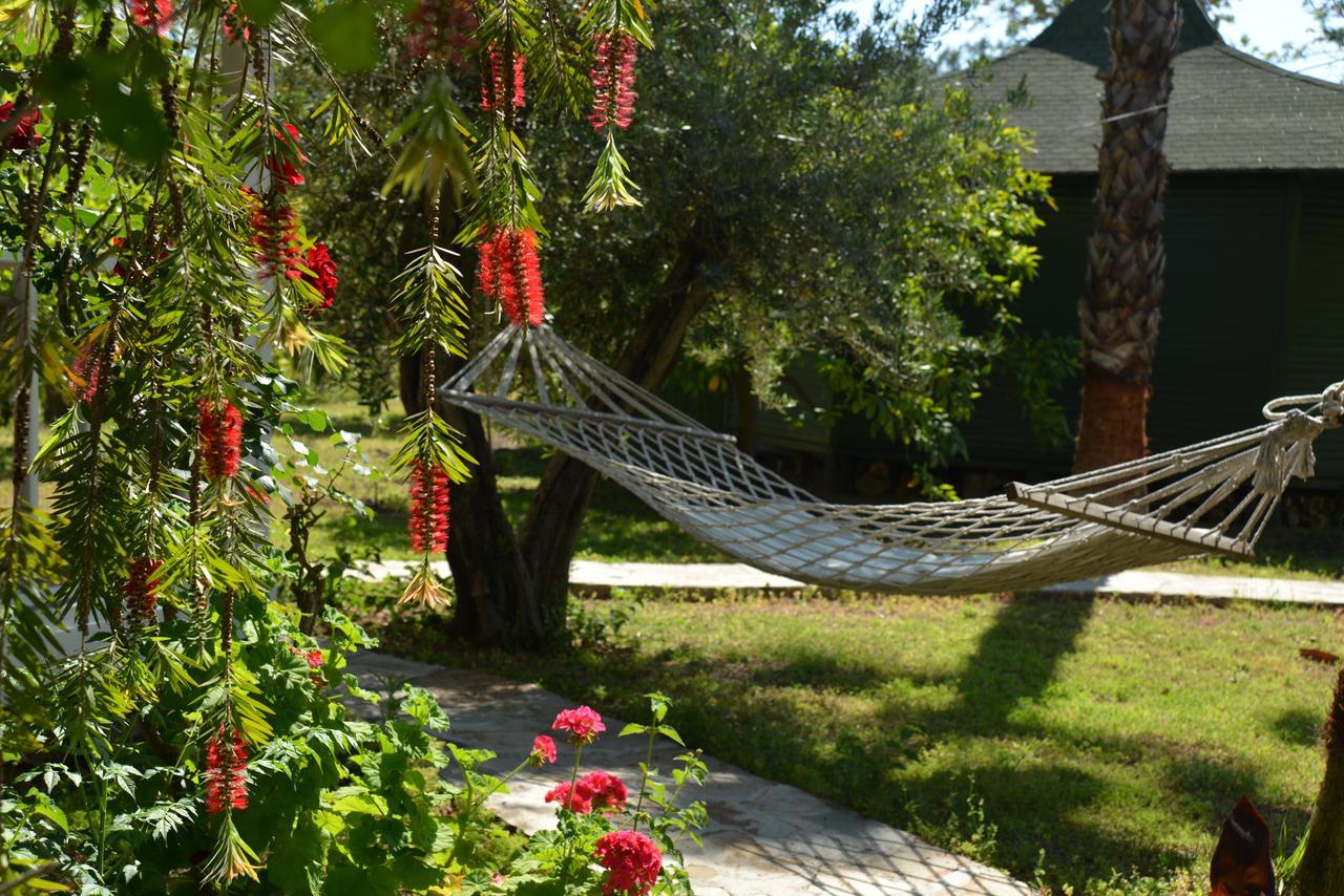 Arcadia Hotel Çıralı Εξωτερικό φωτογραφία